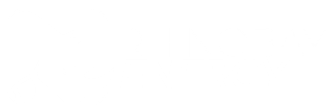 Latest updates from Rhinobay Energy