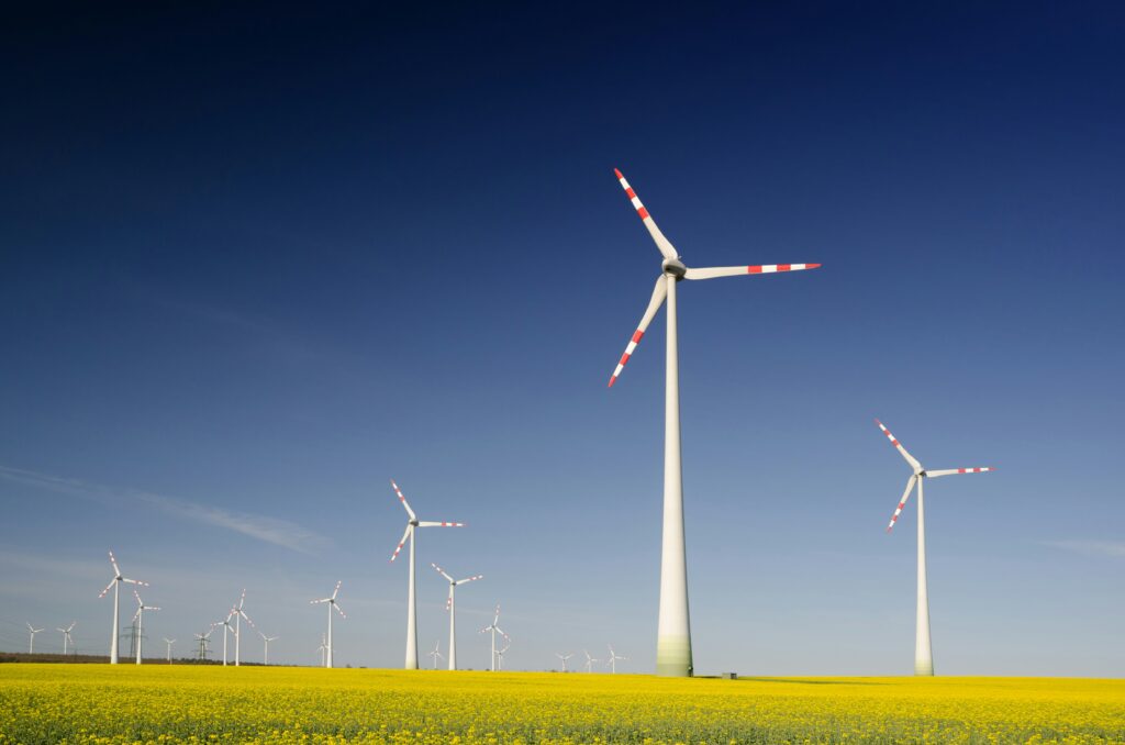 a group of wind turbines in a field